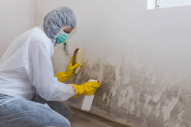 Crawl Space Mold Removal in Colton, CA