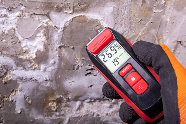 Best Office Mold Removal Services  in Colton, CA