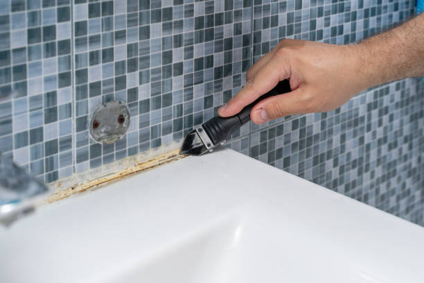 Best Mold Testing  in Colton, CA